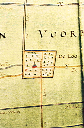 TN_Gnf_Vbg_Loo2003A0049b2.JPG